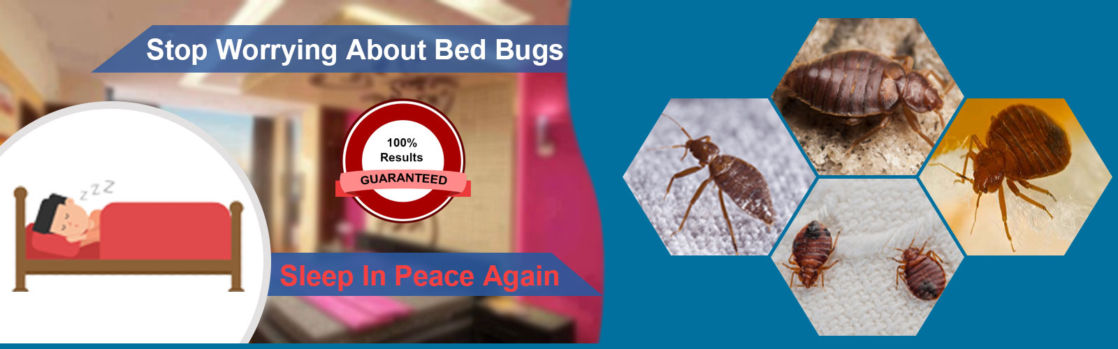bed bugs control in chennai