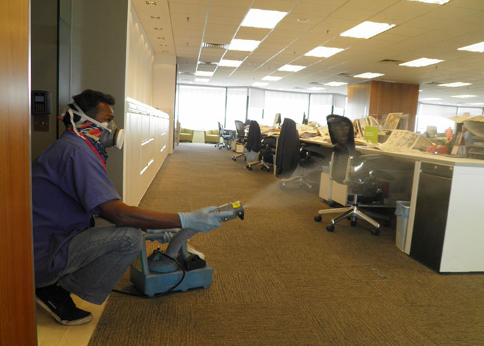 Commercial Pest Control