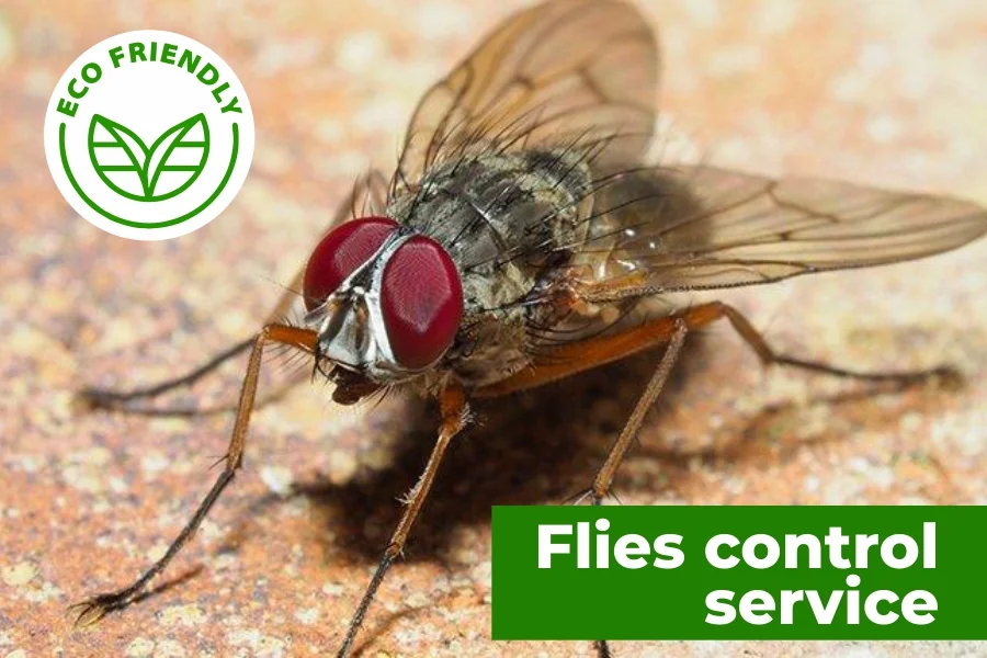 Fly Control Services