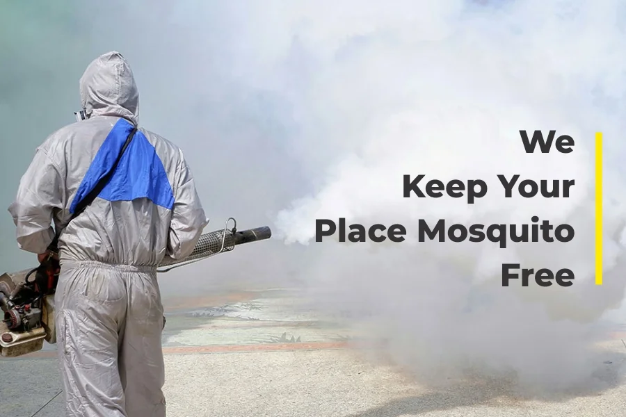 Mosquito Control Services