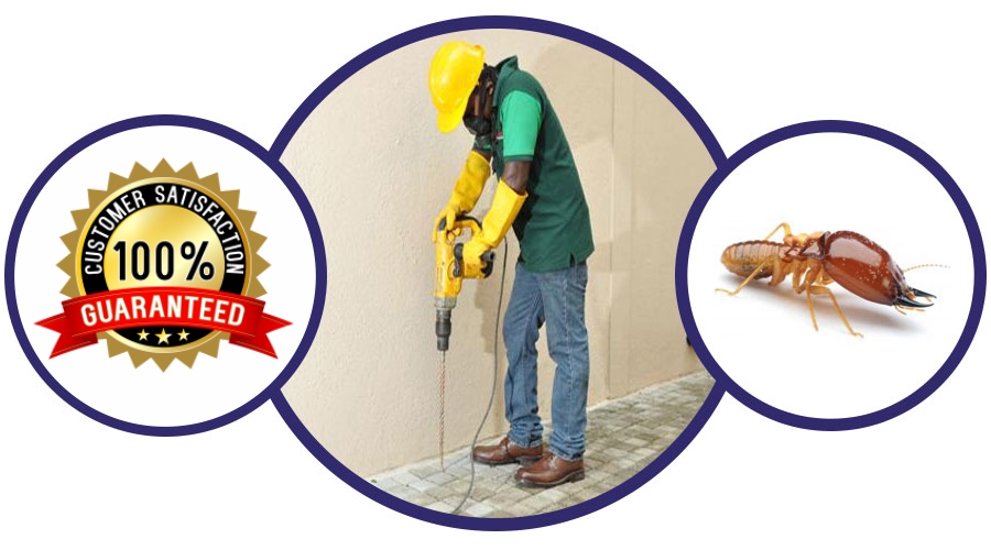 Post-Construction Termite Control