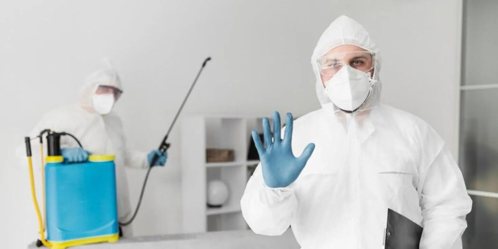 Affordable Pest Solutions Chennai