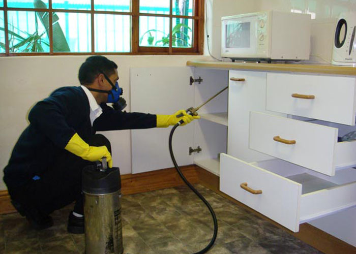 Residential Pest Control