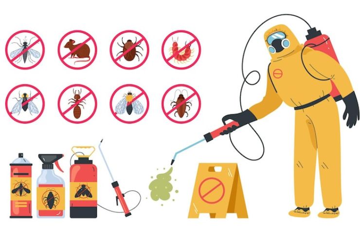 Best Pest Control Services in Chennai Pest Control PC Pest Control