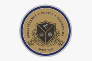 Pest control services in Chennai