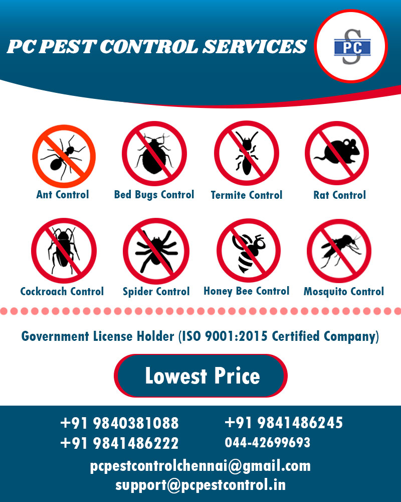 Rat control in Chennai | Rat control services in Chennai | pest control ...