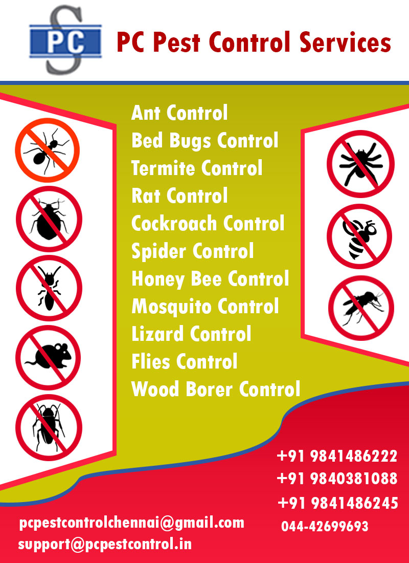Certifed Pest Control Services In Chennai : Searching for professional ...